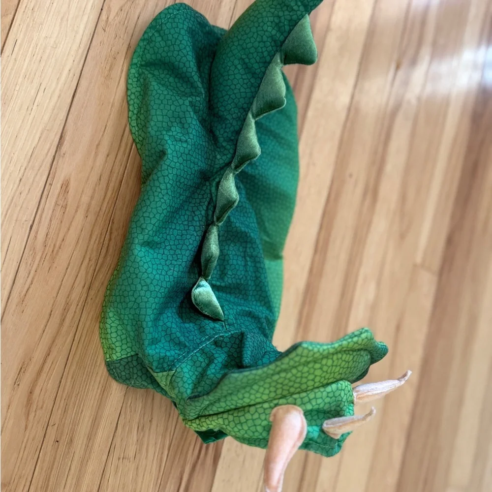 Green Dinosaur 🦖 Costume and Pirate Hat 🏴‍☠️ for Pets 🐱 🐶